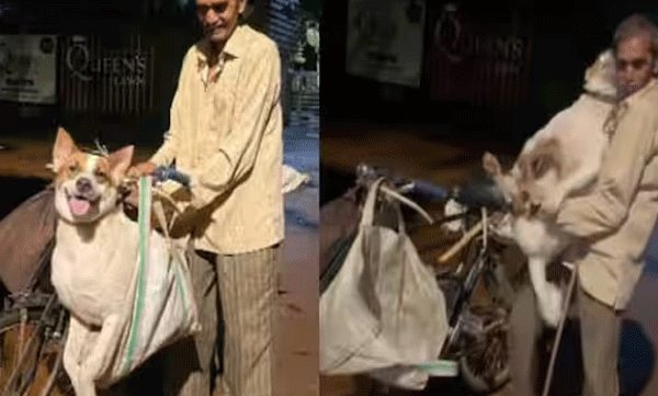 sweet-friendship-with-a-dog-named-tiger-and-a-security-guard-at-queen-lawn-in-borivali