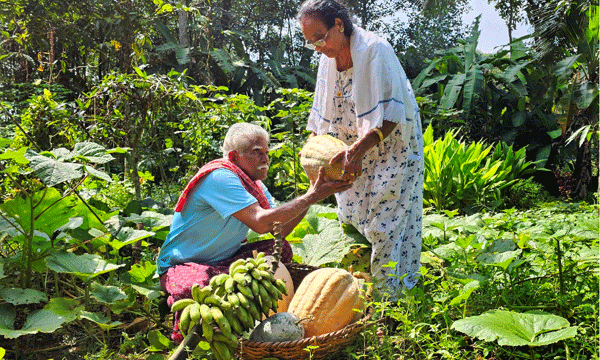 after retirement mart teacher enter to agriculture
