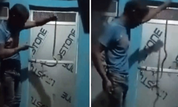 A young man held a snake in his hand in drunkenness and practiced: Finally, the snake bit him and ended tragically.