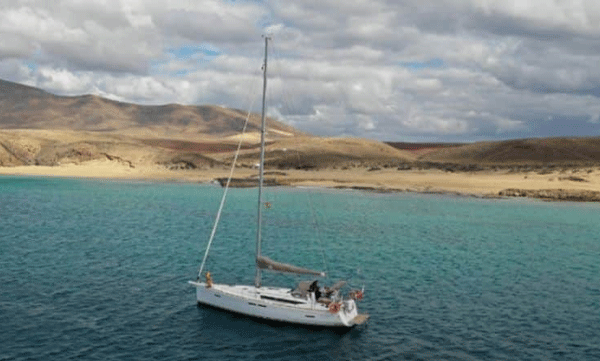 Killer whales attack yacht passengers: Survivor narrowly escapes