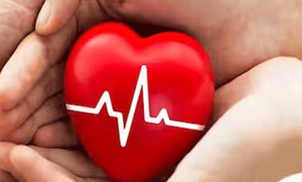 4-of-5-living-organ-donors-in-india-are-women-study-says