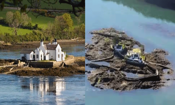 A beautiful little island: but people won't stay here even if they pay lakhs of rupees, because this is the reason