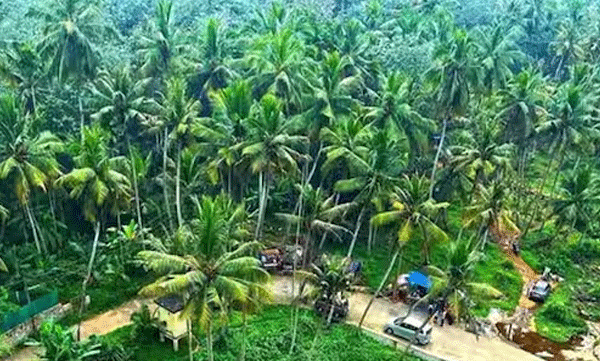 keralites-working-182-of-195-countries-says-norka