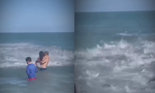 Beachgoers should get ashore if they see this sight: video goes viral
