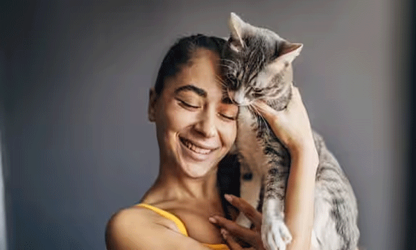 singapore-lift-34-year-ban-on-pet-cats-in-public-house