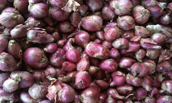 india bans exports of onion till march 2024