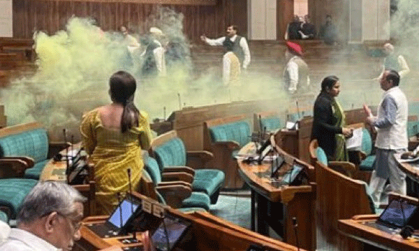 visitor's phone, bag, pen not allowed area ; even coins dis allowed some times; but they entered with a smoke canister