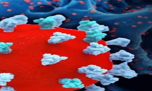 covid-19-kerala-high-level-meeting-instructed-to-use-masks-in-hospitals