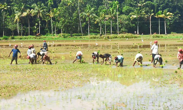 Bengalis also took advantage of the labor shortage and asked for higher wages