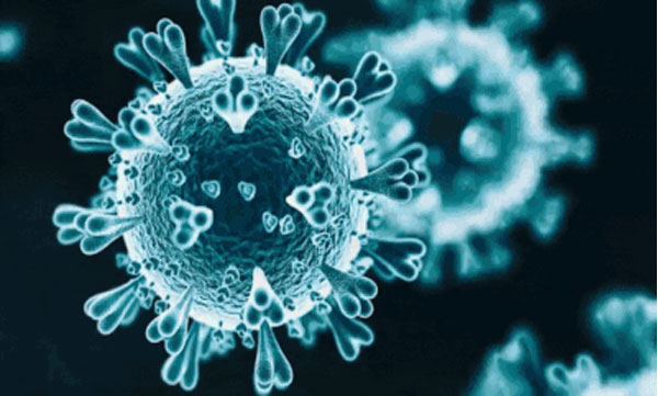 Covid cases rise 22% in a week