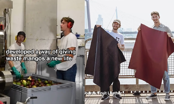 designers-from-the-netherlands-making-leather-from-mango-skin