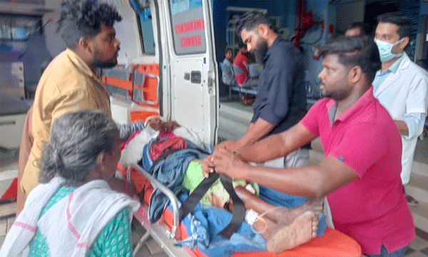 son-attack-mother-in-pathanamthitta