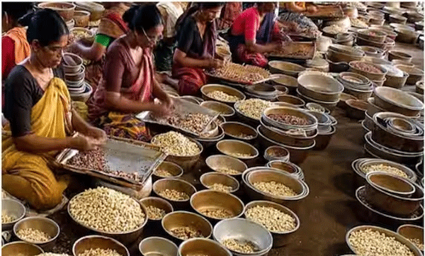 p-rajeev-says-about-expert-committee-report-on-cashew-sector-development-joy