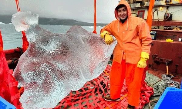 World’s poshest ICE is harvested from ancient glacier