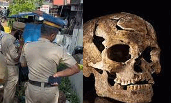 
A skull and parts of a hand in a shop that has been closed for a year