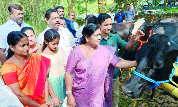 Five cows were given by the animal husbandry department; The child farmers of Velliyamamat are relieved