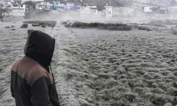 Come and go to Ooty via Masinagudi; Nilgiri shivering in extreme winter; Local residents are suffering from health problems