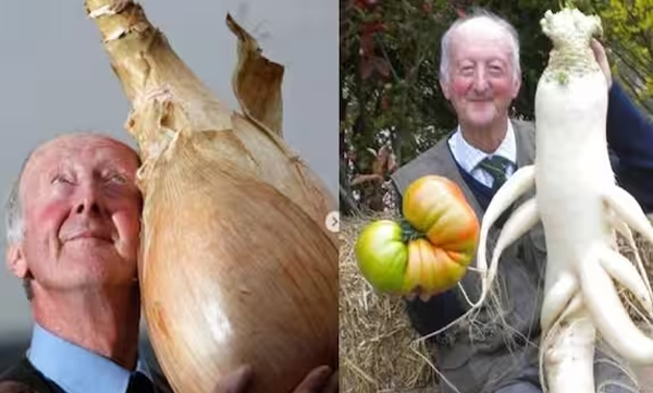 peter-glazebrook-growing-biggest-vegetables