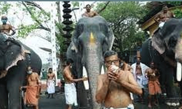 Number of top elephants reduced in Guruvayur elephant race; Strict regulations