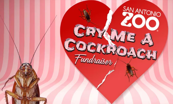valentines-day-2024-us-zoo-will-let-you-name-cockroach-rat-or-veggie-after-your-not-so-special-someone.