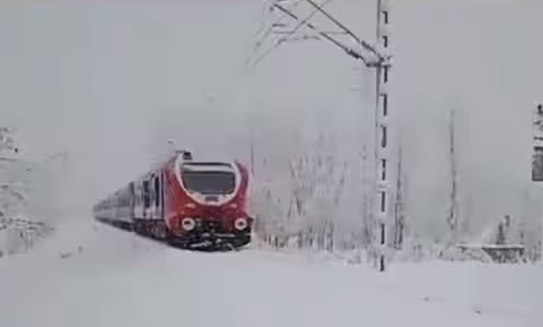pictures-and-videos-of-snowfall-in-kashmir-in-x-social-media-goes-trending