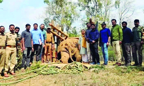 14 employees of the Kerala Forest Department took the photo in front of the forest