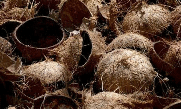 discrimination in employment; Two people were arrested for serving tea in Chiratta to a Dalit woman who was working in agriculture