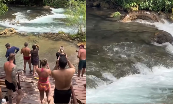 giant-anaconda-near-crowded-riverside