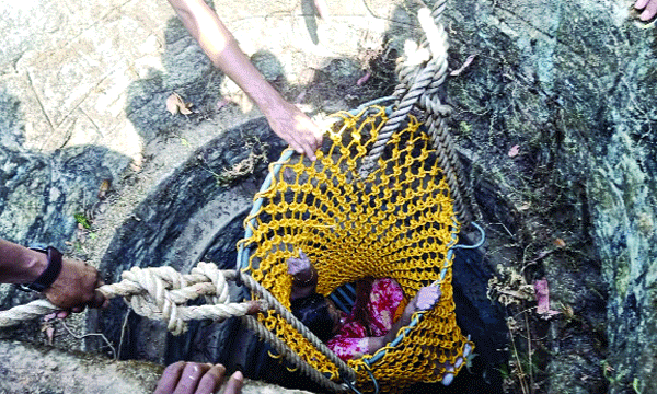 Terrified by the wild pig attack, the old woman fell into the well 