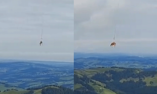 video-of-cow-being-airlifted-and-taken-to-veterinary-hospital-in-switzerland-goes-viral