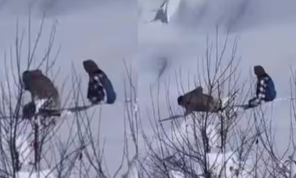 brother-makes-way-for-sister-in-snow-to-reach-exam-centre-lahaul-and-spiti