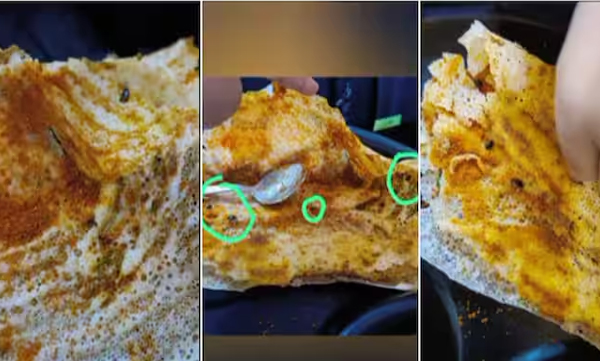 eight-cockroaches-inside-plain-dosa-ordered-from-restaurant-woman-shares-bitter-experience-and-video