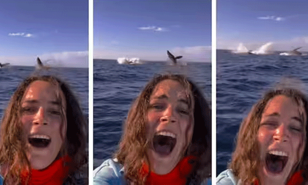 social-media-takes-over-selfie-viral-video-of-young-woman-with-whales