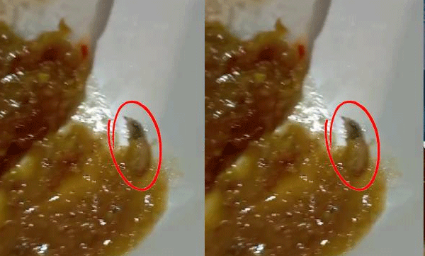 worms-found-from-food-in-a-hotel-in-ernakulam