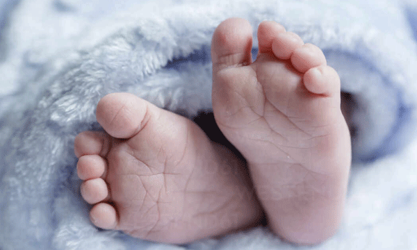 Workaholic Parents Give Up 3-month-old Daughter For Adoption