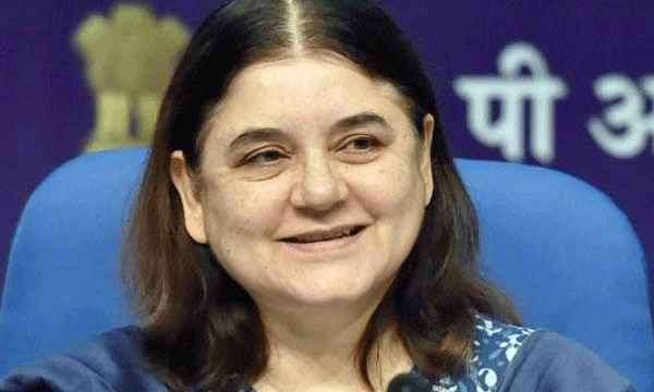 Days After Son Varun Denied Pilibhit Ticket, Maneka Gandhi Says 'Happy To Be In BJP
