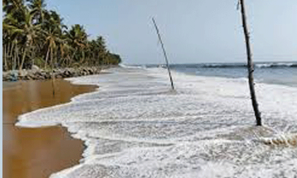 The reason for the sea attack is the 'sea of ​​theft' phenomenon