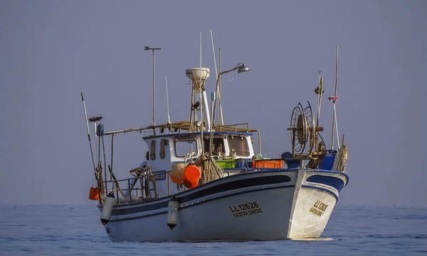 Inspection of fishing boats, warning to workers; 29 Excise that inspection will continue