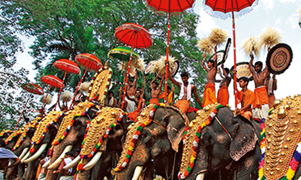 forest department' circular has put Thrissurpur pooram in crisis
