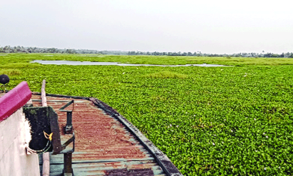 Stuck on the stationary boat for eight hours