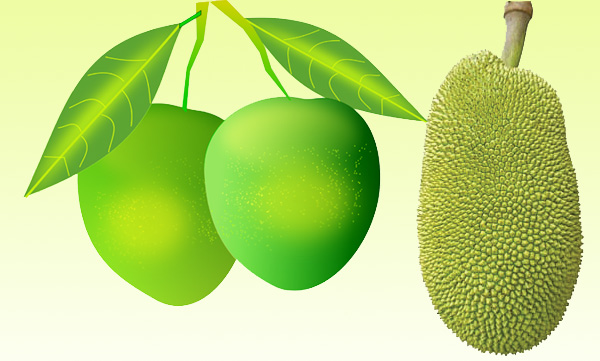 Don't let anyone just throw away the jackfruit and mangoes!