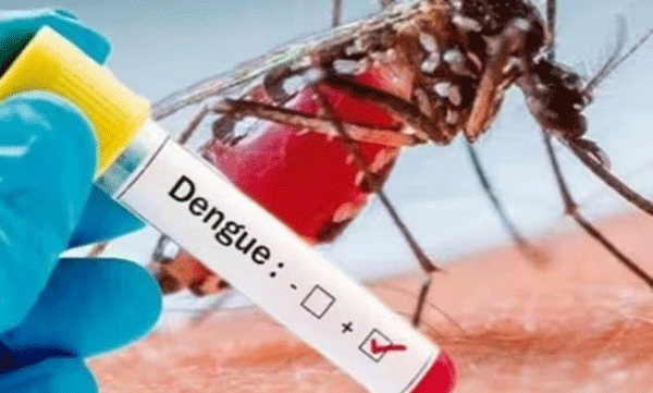 dengue-spreads-in-malappuram