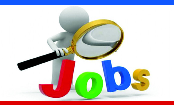 What kind of job can the horoscope get..?