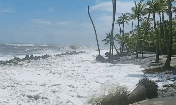 red-alert-in-kerala-coast-withdrawn-high-alert-to-continue-orange-alert-issued-by-incois-sea-attack-chance-on-may-4-night-8pm