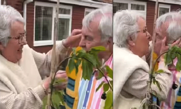 man-surprised-wife-with-cherry-blossom-tree-on-her-73rd-birthday
