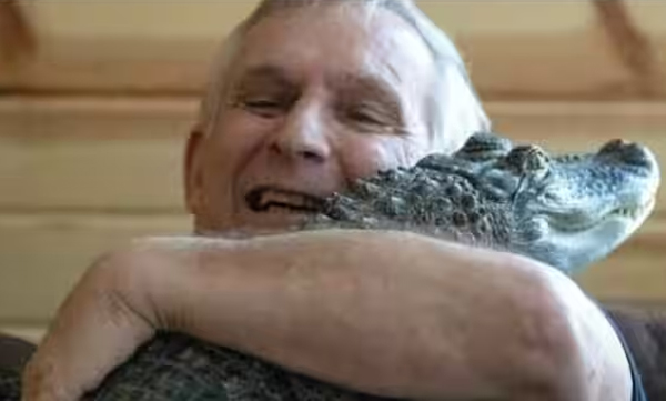 owner-searches-for-alligator-that-provided-emotional-support-during-depression-