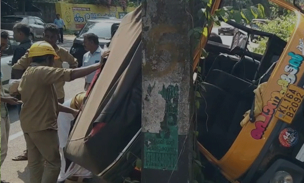 autorikshaw-electric-post-accident