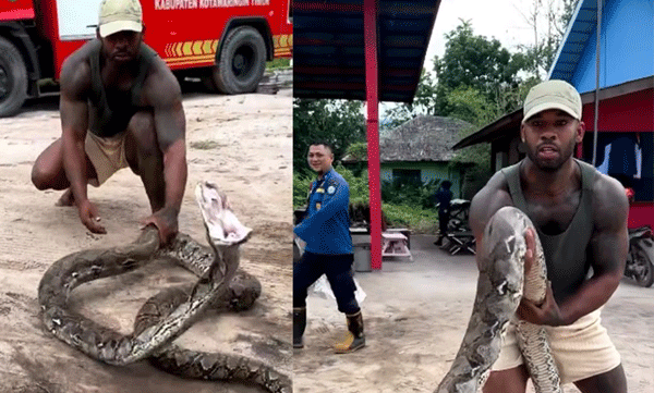 man-catches-snake