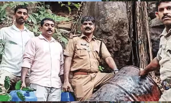 305-litres-of-fermented-alcohol-and-equipments-for-its-making-seized-during-excise-inspection