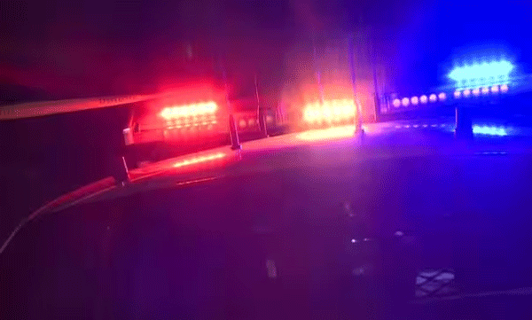 african-man-died-in-sharjah-while-crossing-road